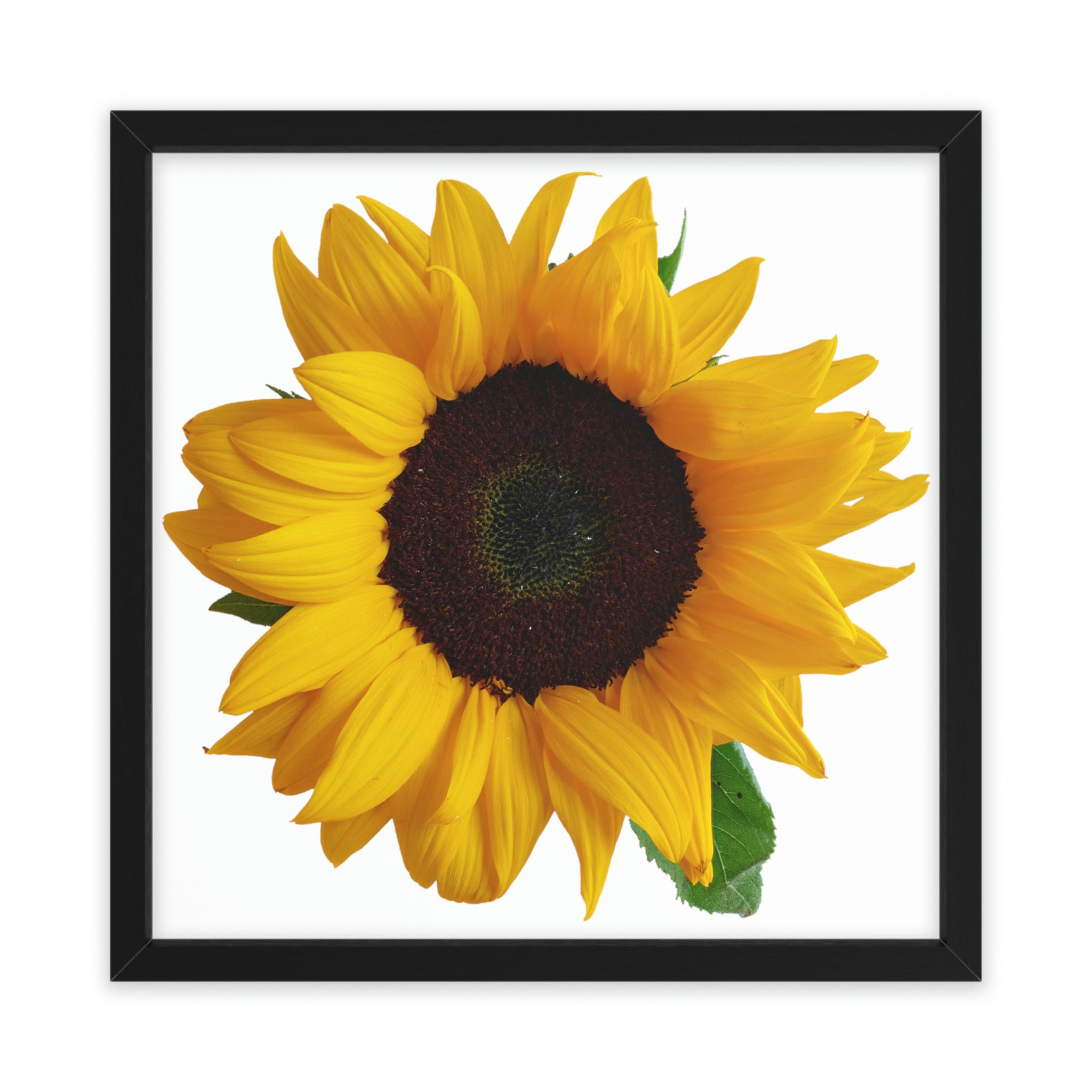 Gracie Oaks Yellow Flower Picture Frame Illustration Wayfair